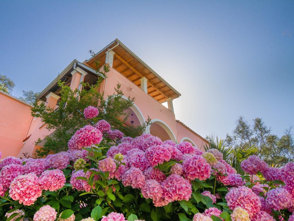 Evergreen Apartments Agios Gordios  Rum bild